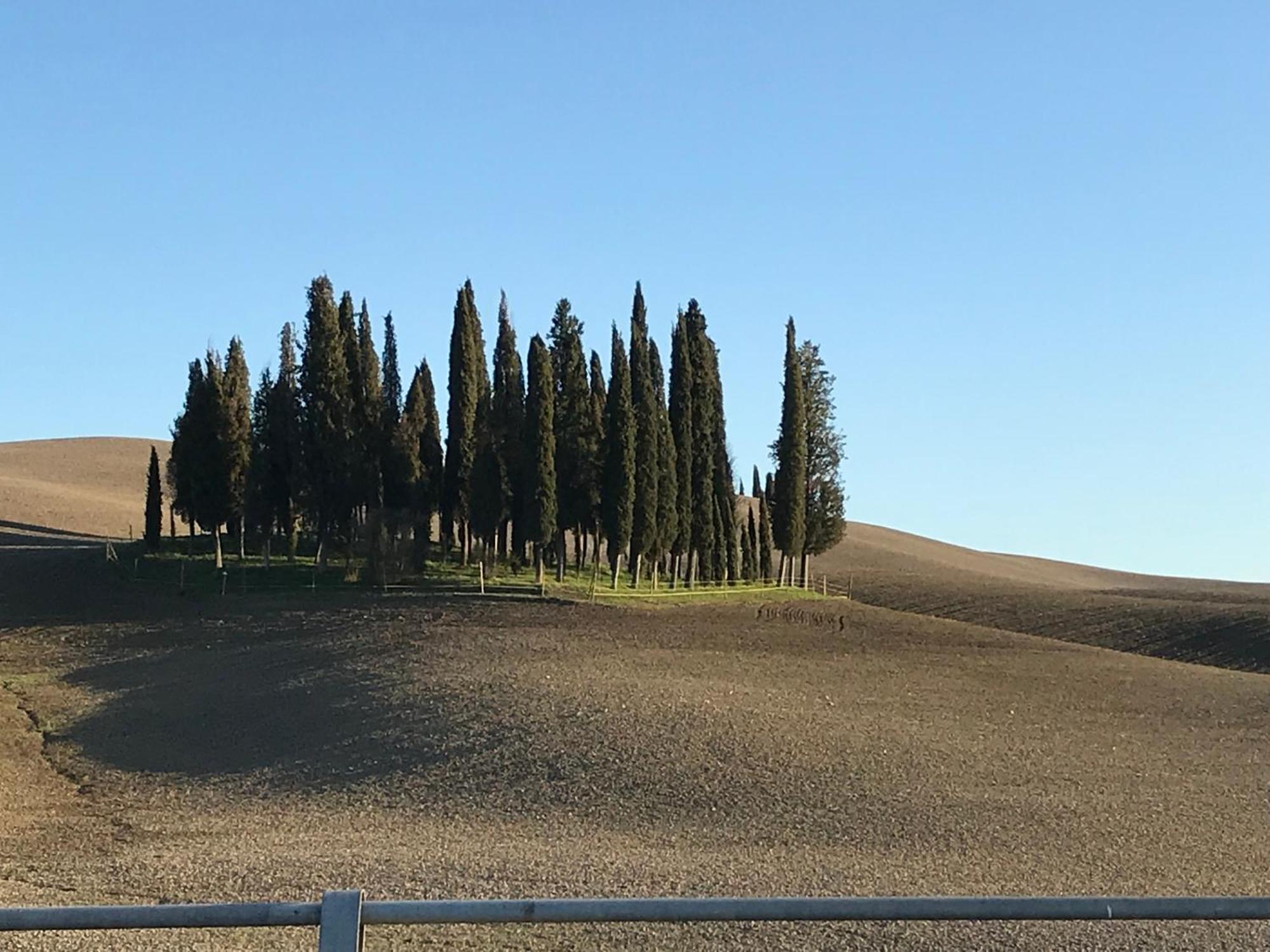 Il Giuggiolo Apartment Montalcino Exterior photo